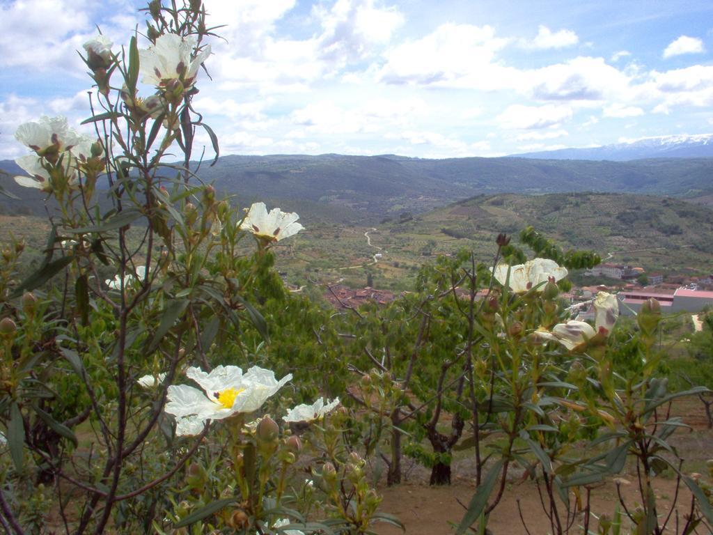 Hotel Rural Sierra De Francia Sotoserrano 外观 照片